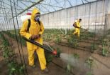 Охрана труда при работе с пестицидами, минеральными удобрениями и консервантами, ИОТ, техника безопасности, охрана труда, пестициды, минеральные удобрения, консерванты